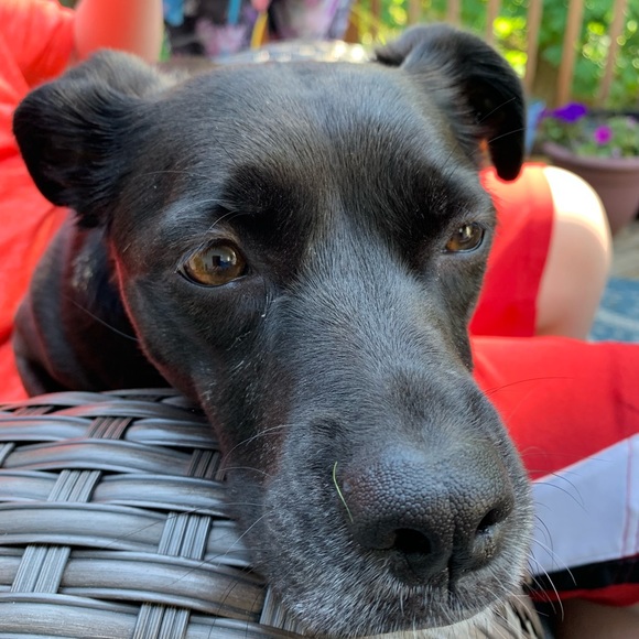 Meet your Posher, Jason - Picture 1 of 1